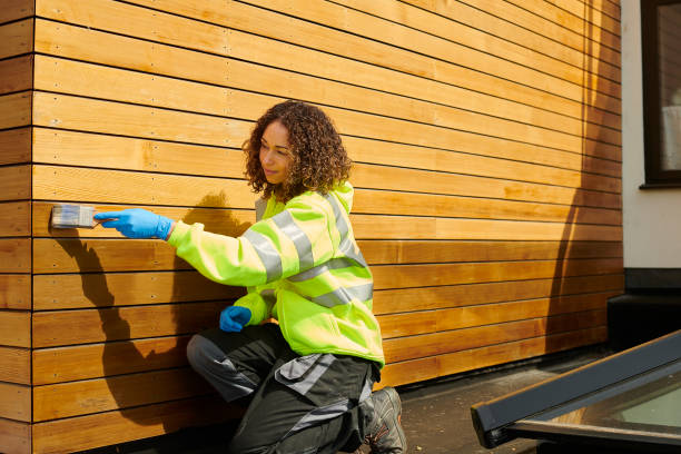 Affordable Siding Repair and Maintenance Services in Three Rivers, OR